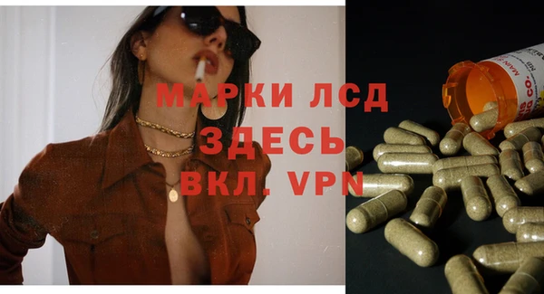 хмурый Алзамай