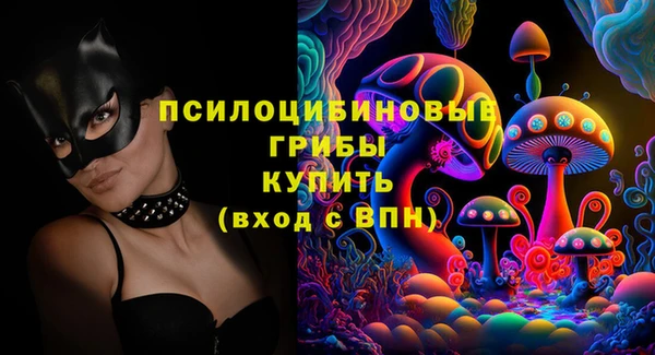 хмурый Алзамай