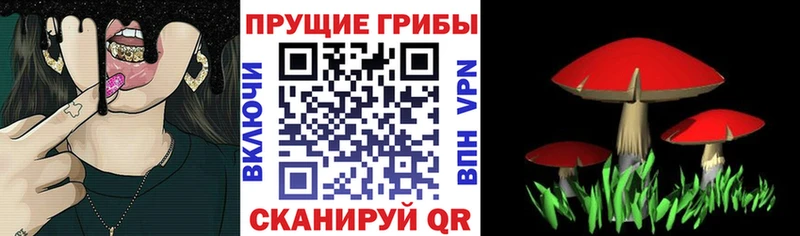 Псилоцибиновые грибы GOLDEN TEACHER  продажа наркотиков  Приволжск 